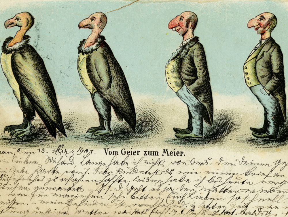 "From vulture to Meier," 1901